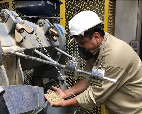 Alexcafe - The Coffee Routes - Colombian Coffee