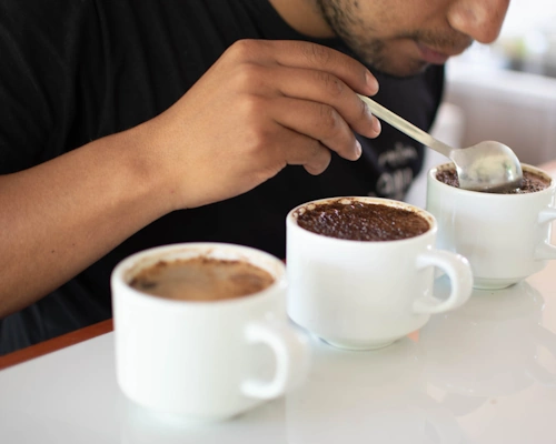 Cafe Villa Molina - Coffee Shops- The Coffee Routes