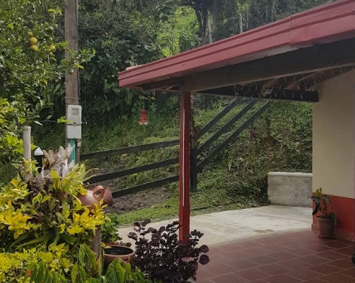 Cafe de La Loma Colombian Coffee Tour