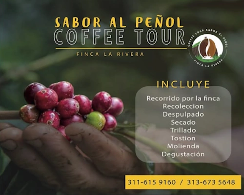 Coffee Tour Sabor al Peñol & Guatape