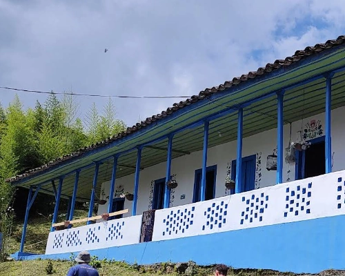 Coffee in the clouds the coffee routes Colombia