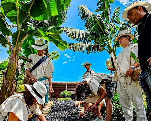 Finca Buenos Aires Coffee Tour Colombia