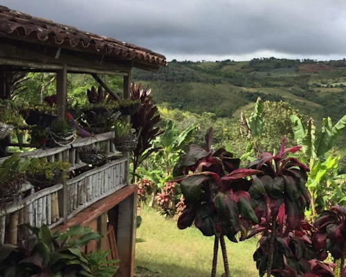 Finca Cafetera Santa Marta - The Coffee Routes Colombia