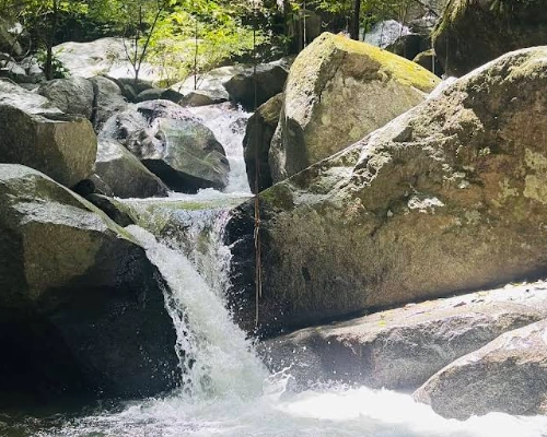 Finca Carpediem Santa Marta Coffee Tour