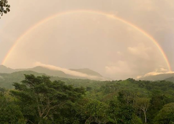 Finca La Arhuaca Coffee Farms Colombia
