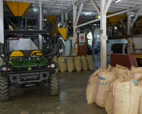 Finca Victoria Coffee Farm Colombia