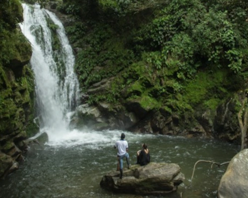 Macana Turismo Santa Marta Coffee Tour