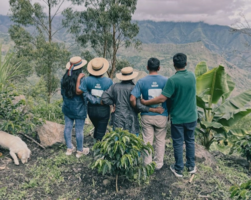 Native Root Colombian Coffee