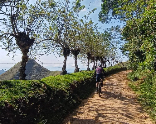 Pedaling Coffee - The Coffee Roots - Colombia