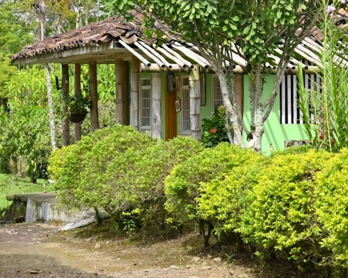 Secretos del Carriel Coffee Farm - The Coffee Routes