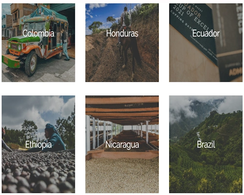 The Coffee Quest Colombia - The Coffee Routes Colombian Exporters