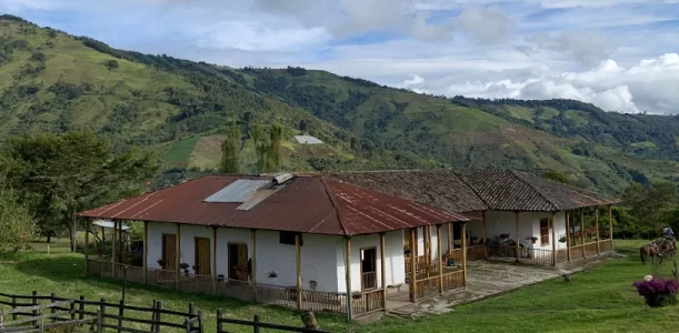 Coffee Graders - The Coffee Routes - Colombia.webp