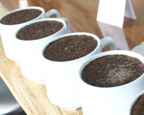 Selecto Exportadores - The Coffee Routes - Colombia