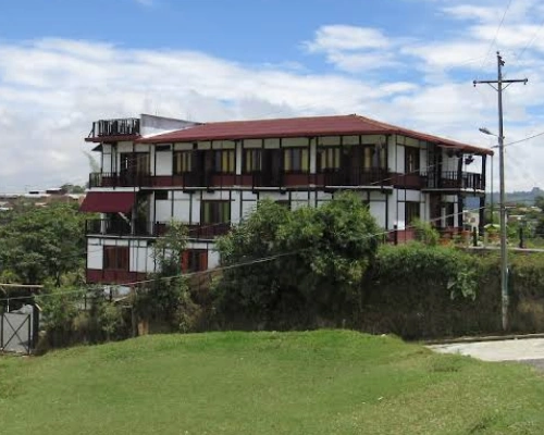 coffee-tree-boutique-hostel-salento-view