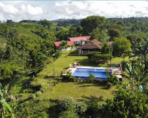 Forest view from Tukawa lodge near Salento