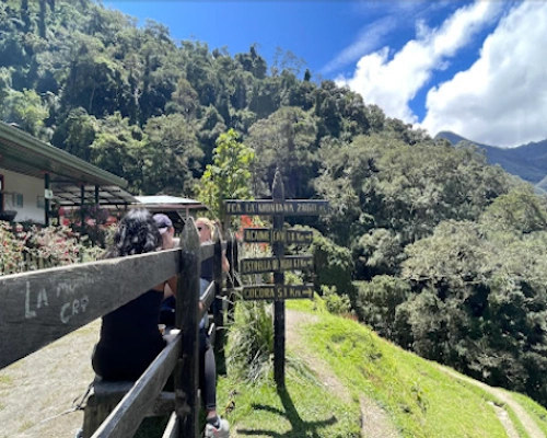Cocora Valley Salento landscape with Wax Palms, mountains, and cloud forests in Colombia’s Coffee Region.