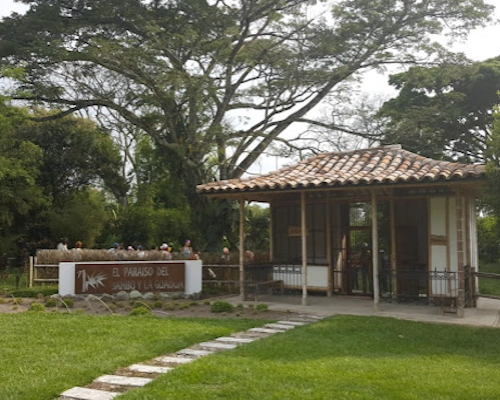 El Paraíso del Bambú y La Guadua Montenegro bamboo forests, guadua architecture, and eco-tourism trails in the Coffee Region of Colombia.