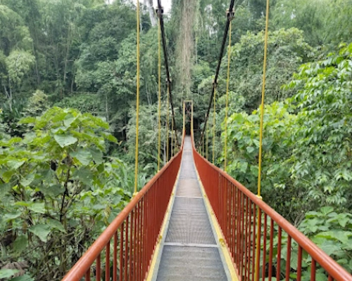 Quindío Botanical Garden Calarcá butterfly house, trails, and native flora in the Coffee Region of Colombia.
