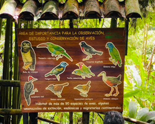 Botanical Garden in Quindío with native plants, walking trails, and butterfly house.