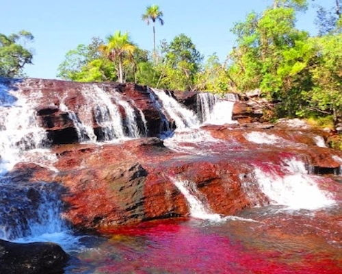 Caño Cristales river with vibrant red, yellow, and green aquatic plants in La Macarena, Meta.