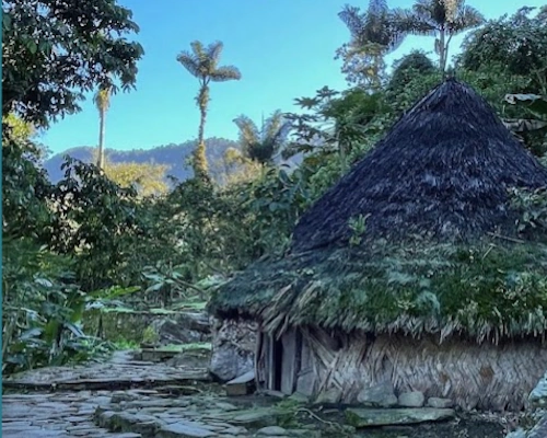 Parque Nacional Natural Tayrona tropical beach, rainforest trails, and Caribbean coastline in Colombia.