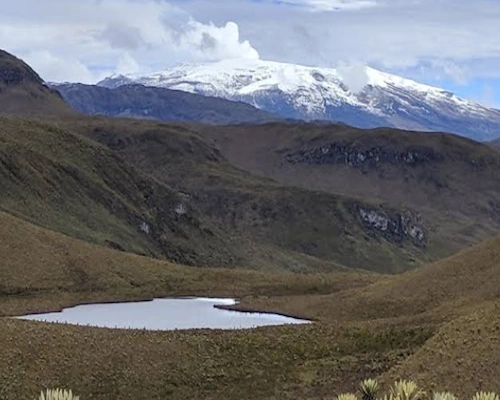 Los Nevados National Park protects fragile ecosystems that play a crucial role in Colombia’s water supply.